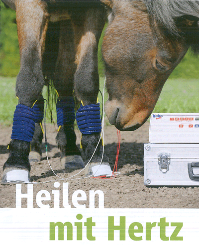 HT Pferd Werbung