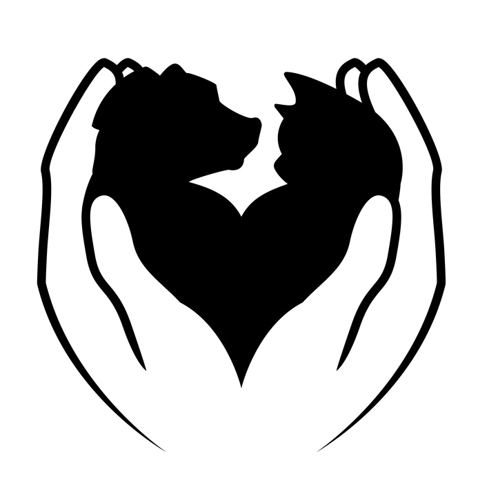 Hund Katze